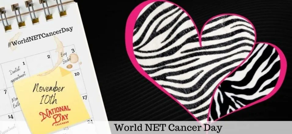 CardsRc's tweet image. This day provides a voice for the NET community to improve diagnostics, treatment, and research.

#WorldNETCancerDay #rubberchickencards #greetingcard #greetingcards #handmadecards #greetingcarddesign #greetingcardsforsale #greetingcarddesigner  #travelling #photography #love