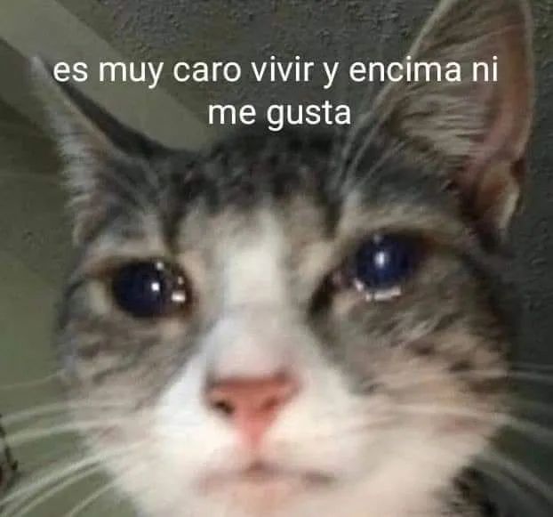 La neta.