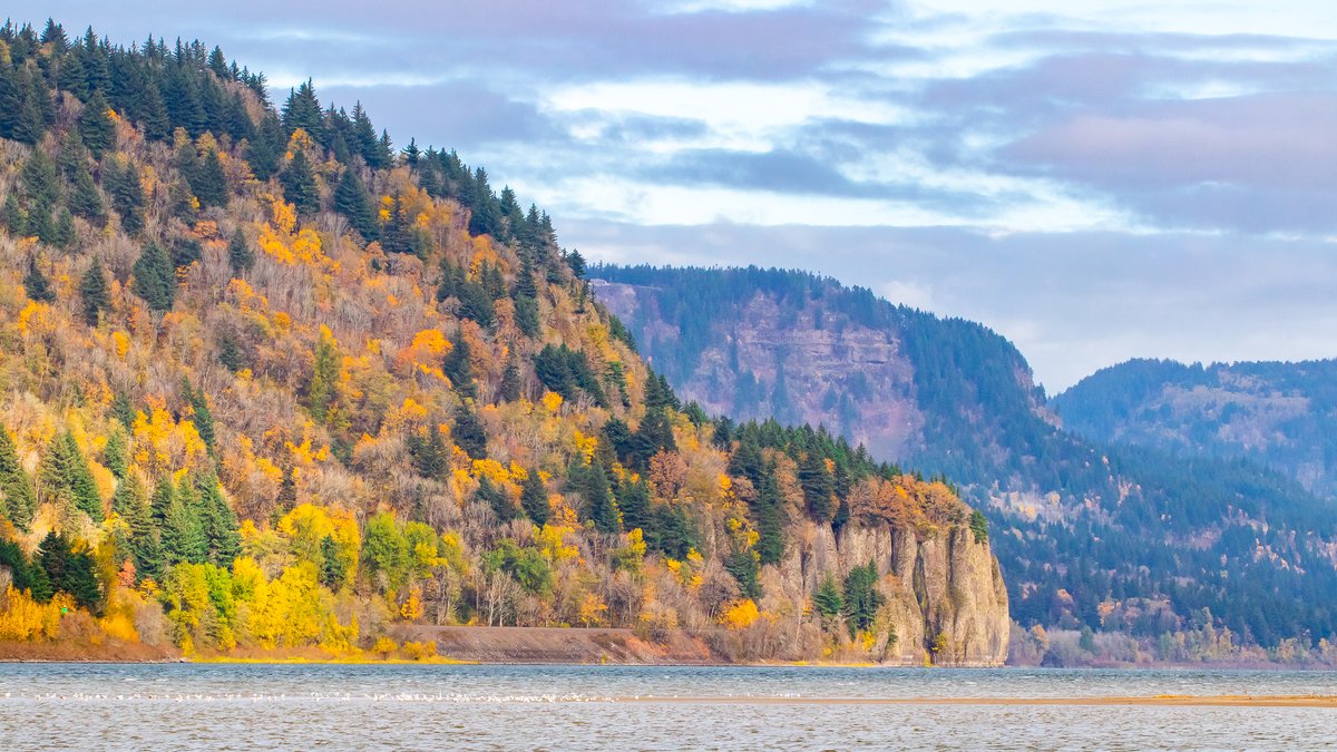 JoeGrins's tweet photo. Photo Journal 11/10/2021
More photos on my website. Link in bio!
#birds #blog #ColumbiaGorge #ColumbiaRiver #ferries #gorge #GreatEgret #herons #landscapes #macro #mushrooms #nature #Oregon #Oregonparks #photoblog #photography #Portland #RoosterRock #RoosterRockStatePark https://t.co/3k6vwtihSR