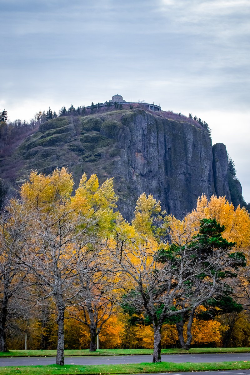 JoeGrins's tweet photo. Photo Journal 11/10/2021
More photos on my website. Link in bio!
#birds #blog #ColumbiaGorge #ColumbiaRiver #ferries #gorge #GreatEgret #herons #landscapes #macro #mushrooms #nature #Oregon #Oregonparks #photoblog #photography #Portland #RoosterRock #RoosterRockStatePark https://t.co/3k6vwtihSR