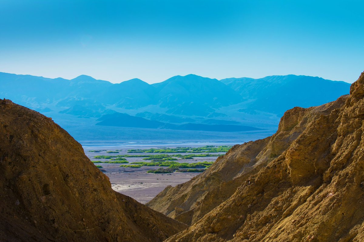 Death Valley NFTs tweet media