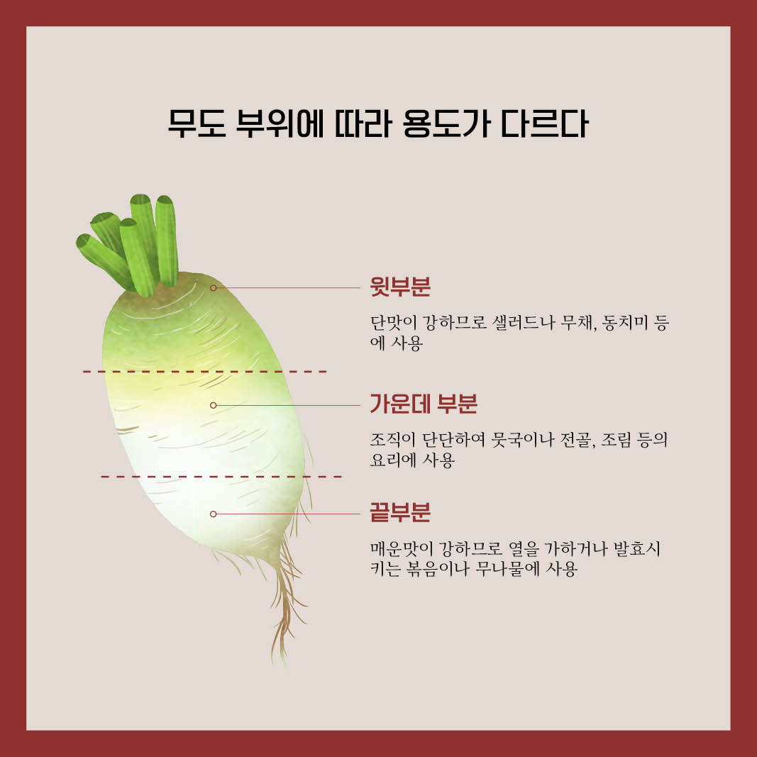 안녕하세요. 여러분 ~🙇
겨울 먹을거리 준비, 김장철이 돌아왔습니다.🙌🙌
김장에서 가장 중요한 재료는 바로 맛있는 배추와 무를 고르는 일입니다. 함께 알아볼까요?
url.kr/sijve4
#가을무 #김장 #무고르는법 #비타민 #다이어트식품 #동삼