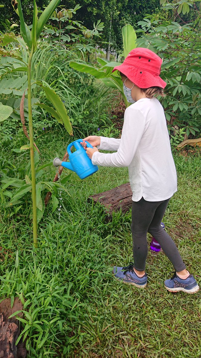 infants_TTS's tweet photo. Year 2 have had an amazing time on their Forest Adventures over the last two weeks! They've been planting, watering and learning how to whittle as they explore our new Forest School site on campus with the Outdoor Ed team. https://t.co/3ltmn4GhSq