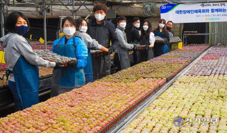 ekgib's tweet image. &amp;lt;경기포토&amp;gt; 경기농협, 장애인체육회 농촌봉사활동

#경기농협 #장애인체육회 #농촌봉사활동 #경기포토 #경기일보