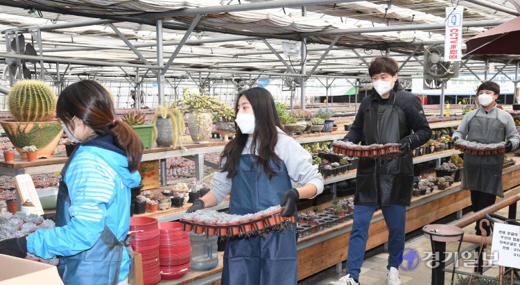 ekgib's tweet image. &amp;lt;경기포토&amp;gt; 경기농협, 장애인체육회 농촌봉사활동

#경기농협 #장애인체육회 #농촌봉사활동 #경기포토 #경기일보