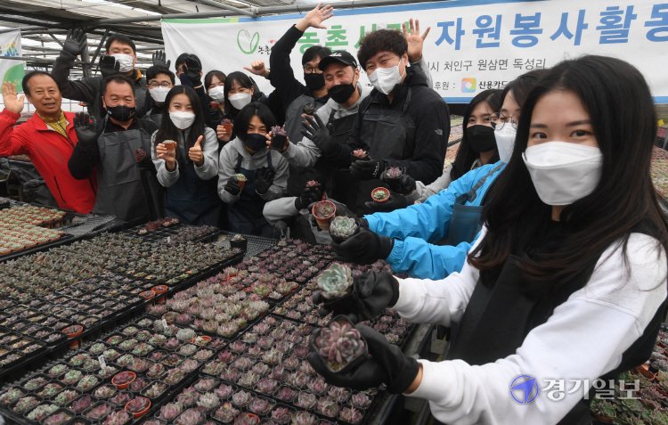 ekgib's tweet image. &amp;lt;경기포토&amp;gt; 경기농협, 장애인체육회 농촌봉사활동

#경기농협 #장애인체육회 #농촌봉사활동 #경기포토 #경기일보