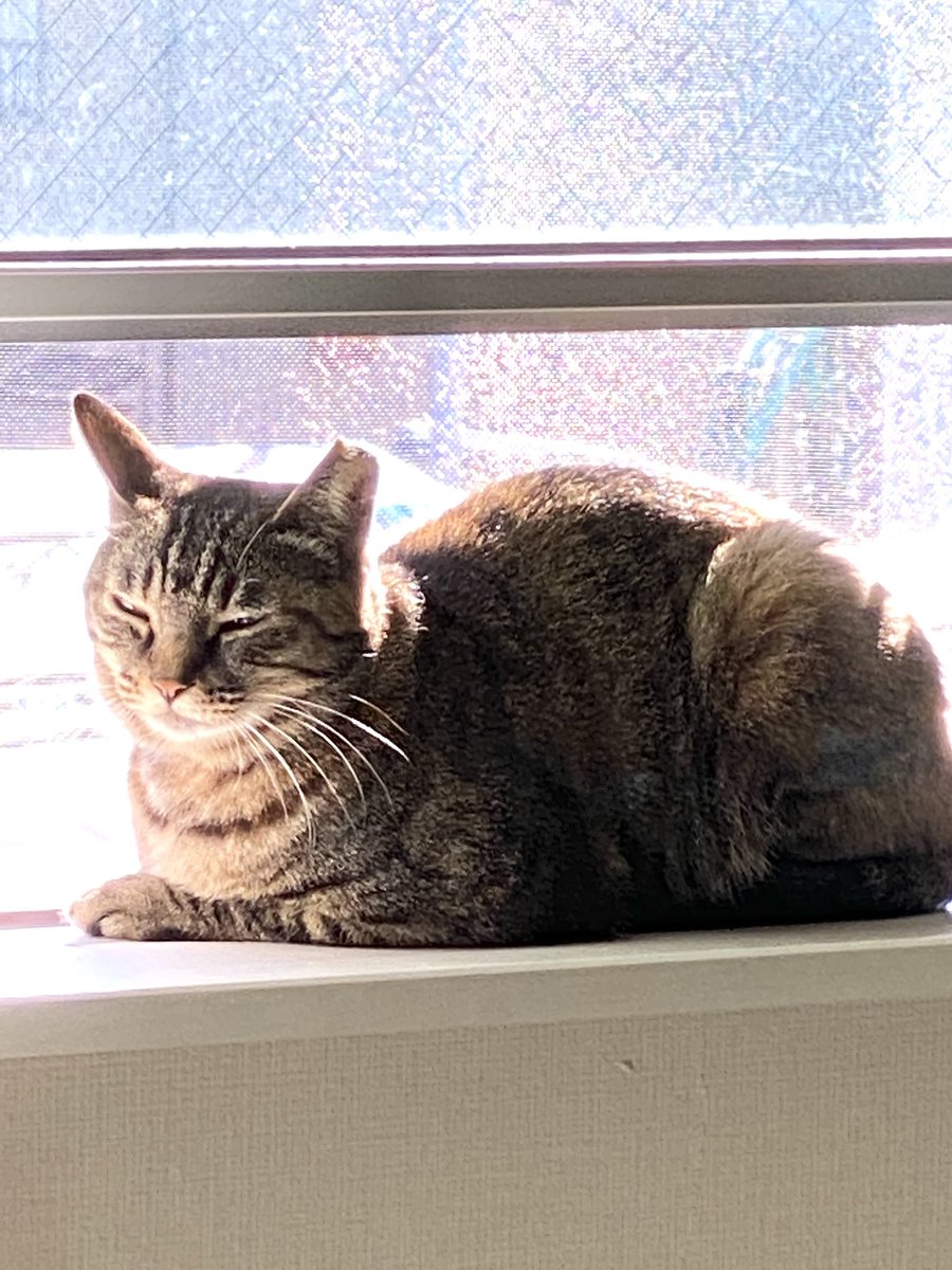 あったかいねぇ☀️ 