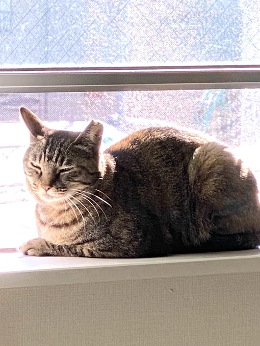 あったかいねぇ☀️ 