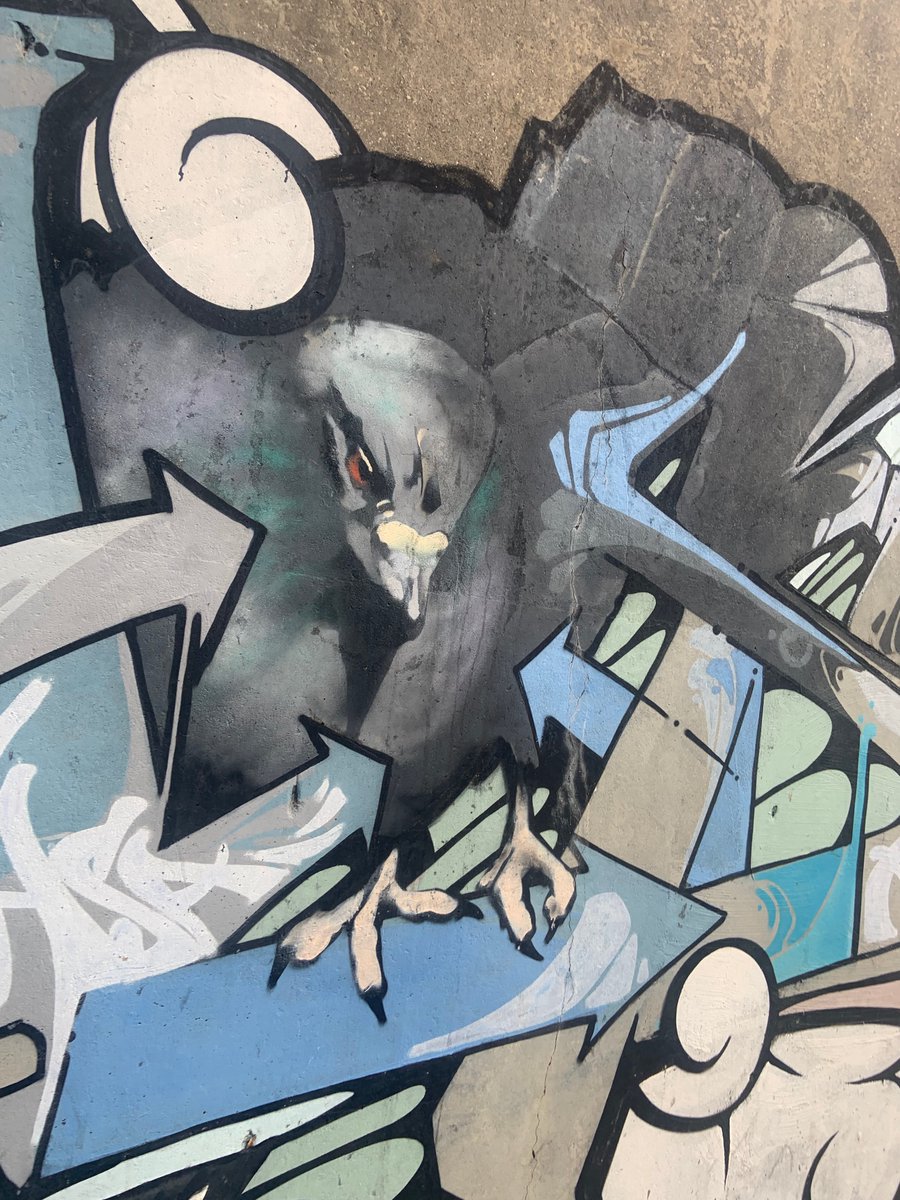 davidbuwalda's tweet photo. Seen in Toronto. Possible Crow.#BIRDSOFSPRAY https://t.co/vKHC16uaw8