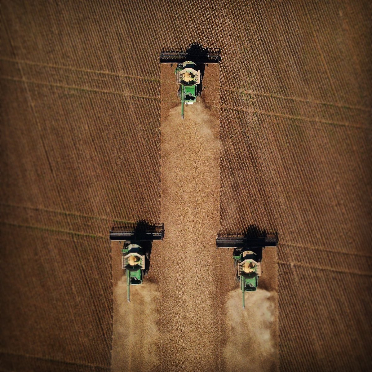 Why not one more 📸? 1️⃣2️⃣3️⃣
Cox &amp; Watson Ag | Monroe, NC

#haverest21
#fieldtoyieldnc
#leadingthefield