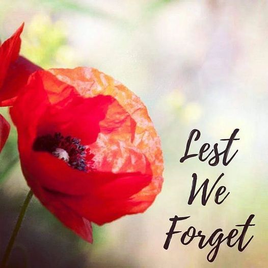 On the 11th hour of the 11th day of the 11th month, we pause to remember them.

#lestweforget #remembranceday