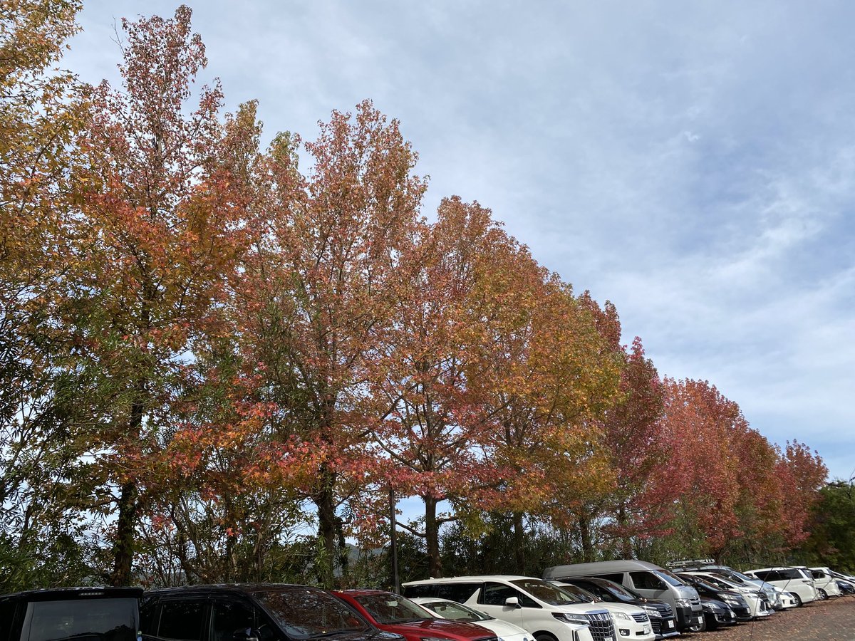 Mio9235's tweet photo. おはようございます

紅葉が綺麗だったので、
スマホで撮ってみました
紅葉の名所に行く計画は、ありませんが https://t.co/BtIpgm7WkU