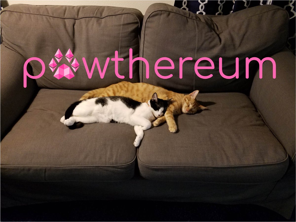 #Pawthereum is a decentralized community-run charity cryptocurrency that aims to help animal charities and shelters all over the world.

Visit pawthereum.com today to see how you can give! 

#pawtherspets