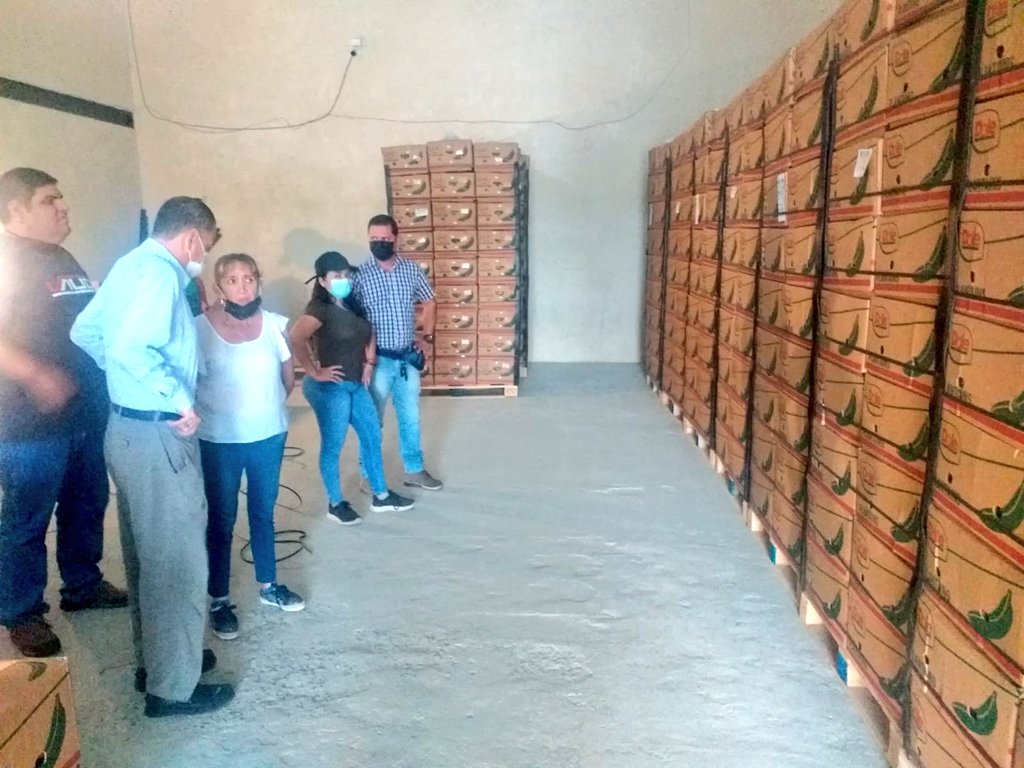 Agricultura_CZ4's tweet photo. #ElCarmen |  Visitas técnicas a los centros de acopios asociativos de procesamiento de plátano barraganete  de exportación, donde se propuso fortalecer el acompañamiento técnico  productivo y gerencial de los productores que se dedican a este rubro.
#JuntosLoLogramos https://t.co/C1fOZL9sTN