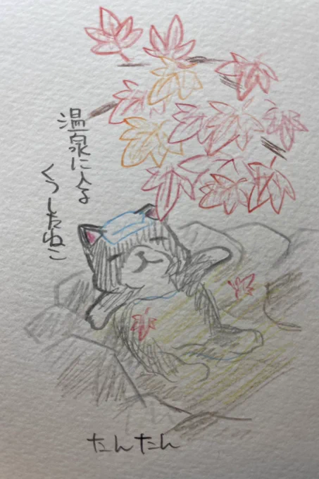 温泉に入るくつしたねこ

#イラスト #猫 