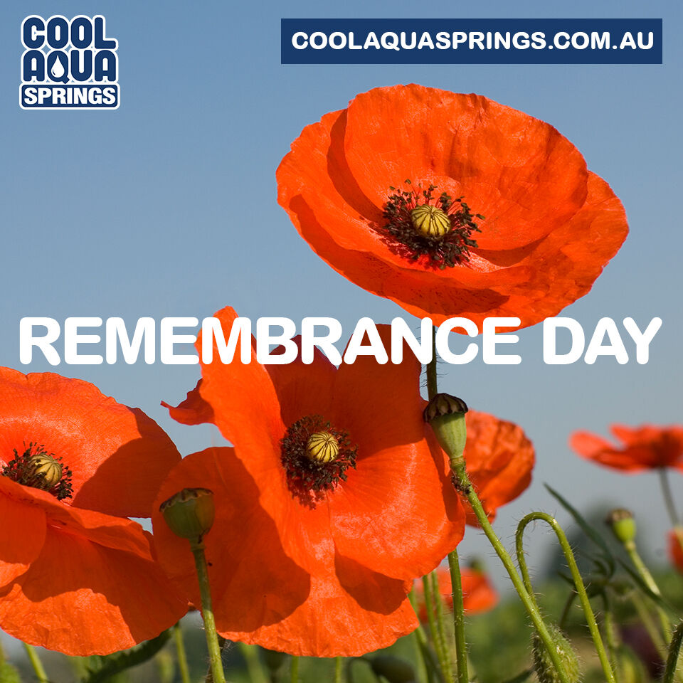 coolaquasprings's tweet image. Today is 'Remembrance Day' at the eleventh hour on the 11th day, we will remember the sacrifice they made for us.

Lest we forget  
coolaquasprings.com.au
#RemembranceDay #BottledSpringWater #CoolAquaSprings