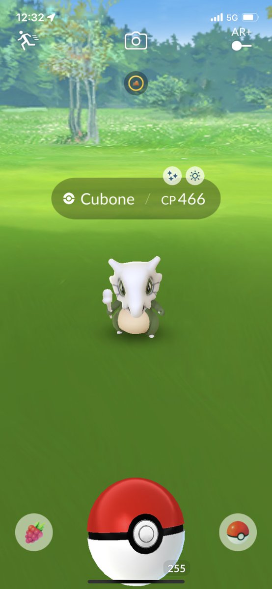 GPBuilds's tweet image. NEW ✨✨ CUBONE ENCOUNTER!! #PokemonGo #Shiny