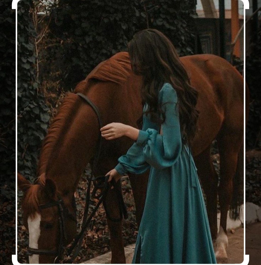 suzan basha (@suzanbasha) on Twitter photo 