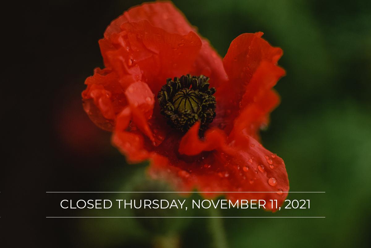 Web Wizards will be closed on Thursday, November 11th in observance of Remembrance Day.