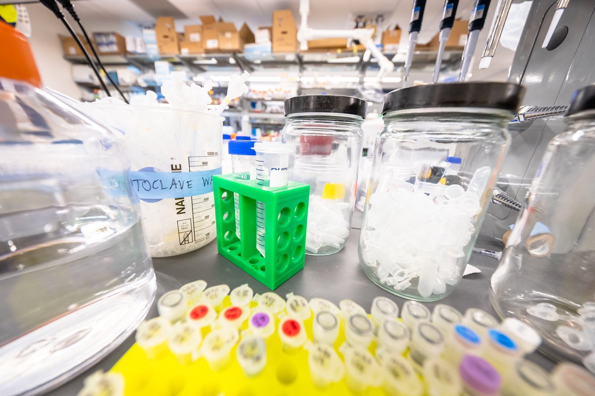 College of Science tweet media