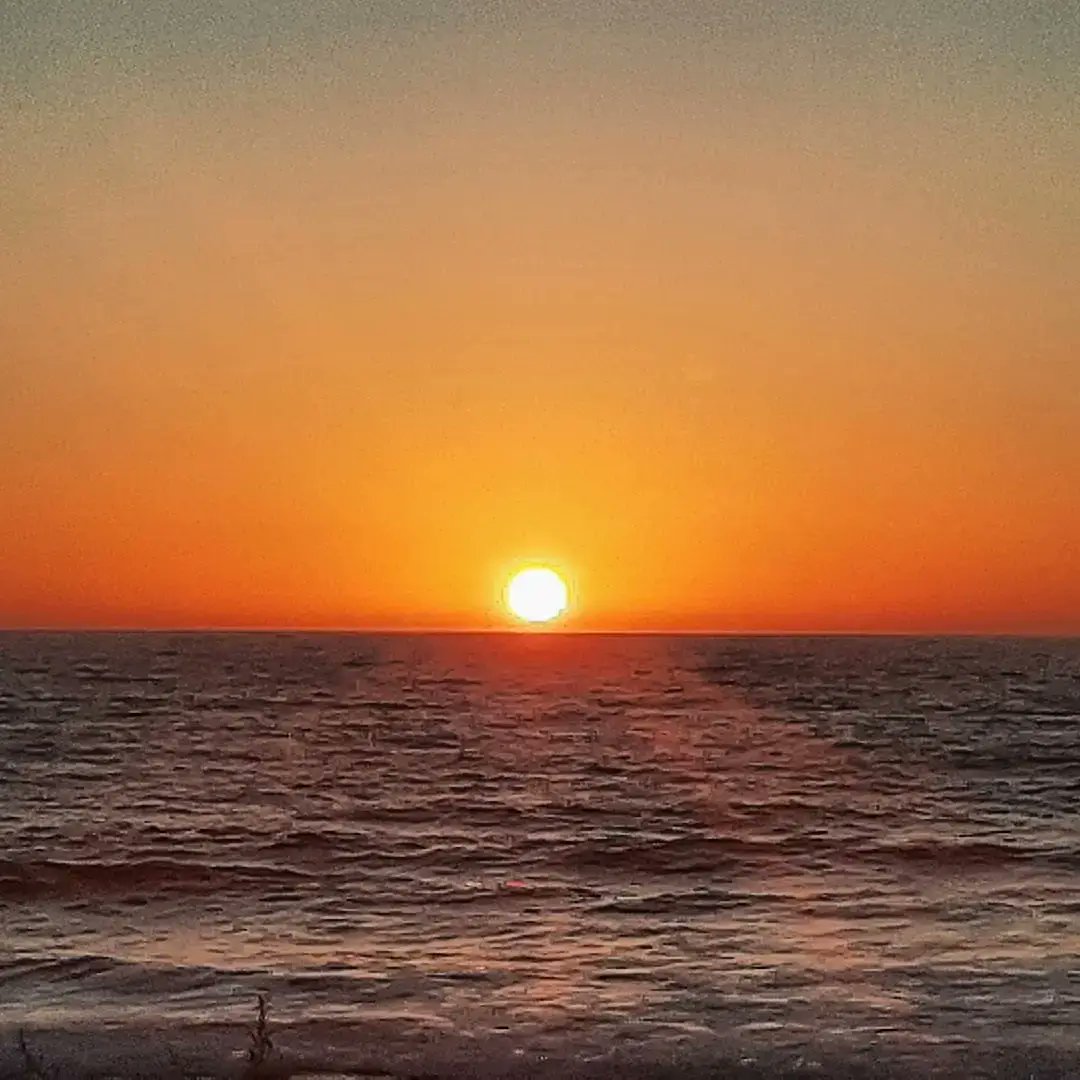 Clare75GBTT's tweet image. September sunshine......
So would do anything to be back @louispaphosbreeze
#cyprus #september2021 #paphos #louispaphosbreeze #sunshine