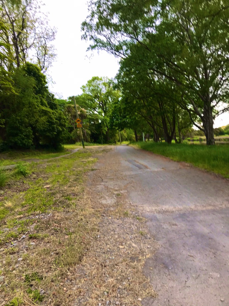 pippy_ms's tweet photo. Morning walk with Bella. The Avonside Red Zone. Stunningly gorgeous #Avonside #RedZone #Bella https://t.co/121nC5sGVj