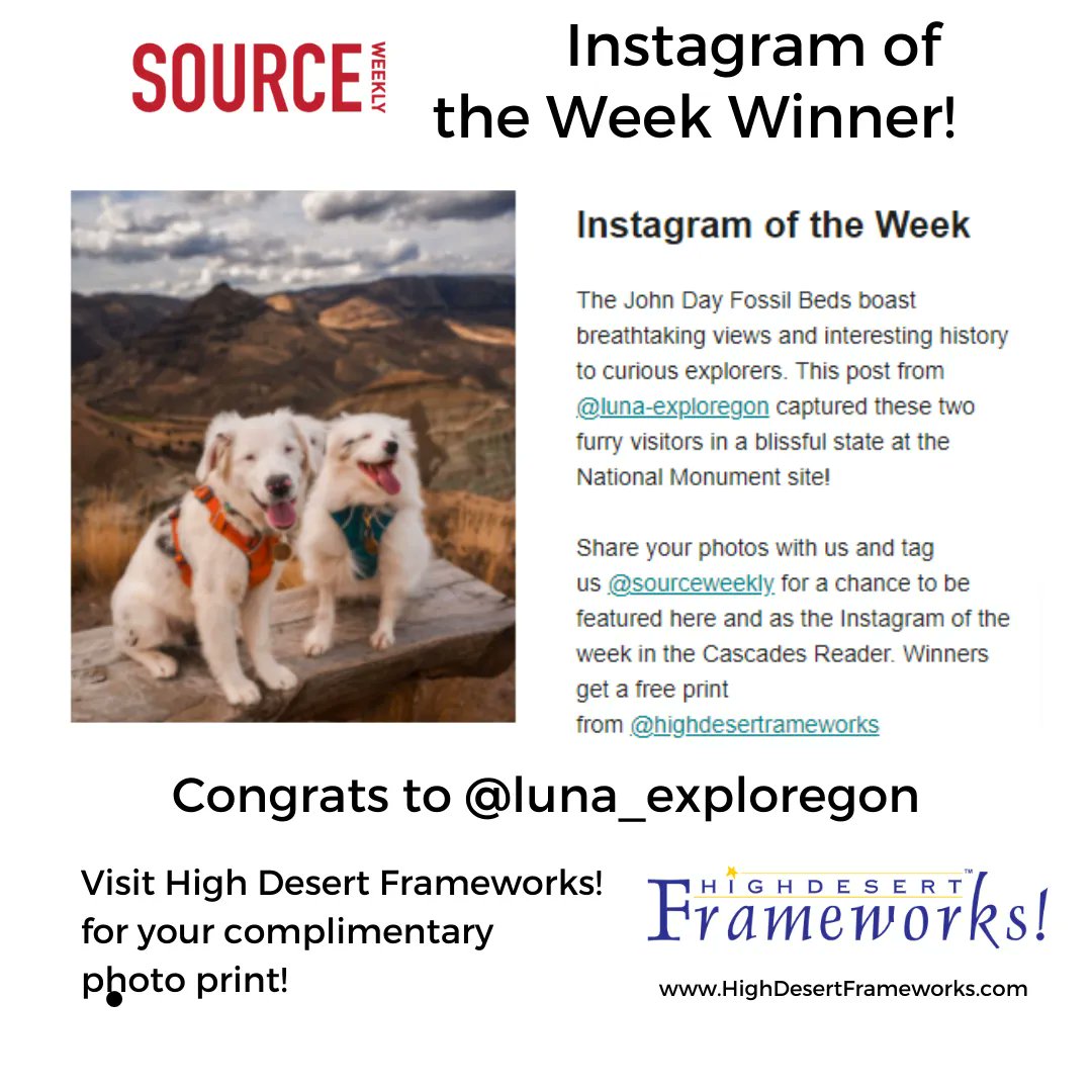 HDFRAMEWORKS's tweet image. Happy Dogs!  Congrats to @luna_exploregon for their Instagram of the Week entry at @sourceweekly. We will DM you when your complimentary photo print is ready to pick up! Two great-looking doggies! #IGWSourceWeekly #inbend #inbendoregon #GottaLoveDoggies  bit.ly/ComeFrameWithUs