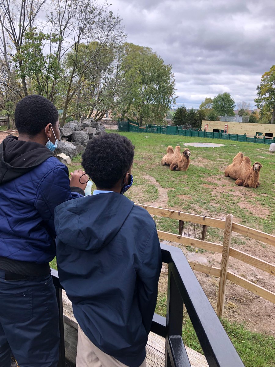 SyracuseAcademy's tweet photo. #SASAtoms had the #BestDayEver during their #FallFieldTrip to the @SyracuseZoo! During their walk on the wild side Atoms saw #HumboldtPenguins, Bjorn the #AndeanBear, #Elephants, #BactrianCamels & more! #SASCS #FieldTrip
.
@dfrankny @Ninacharters @CharterEmpire @nycharterassoc https://t.co/tkib0mLk4d