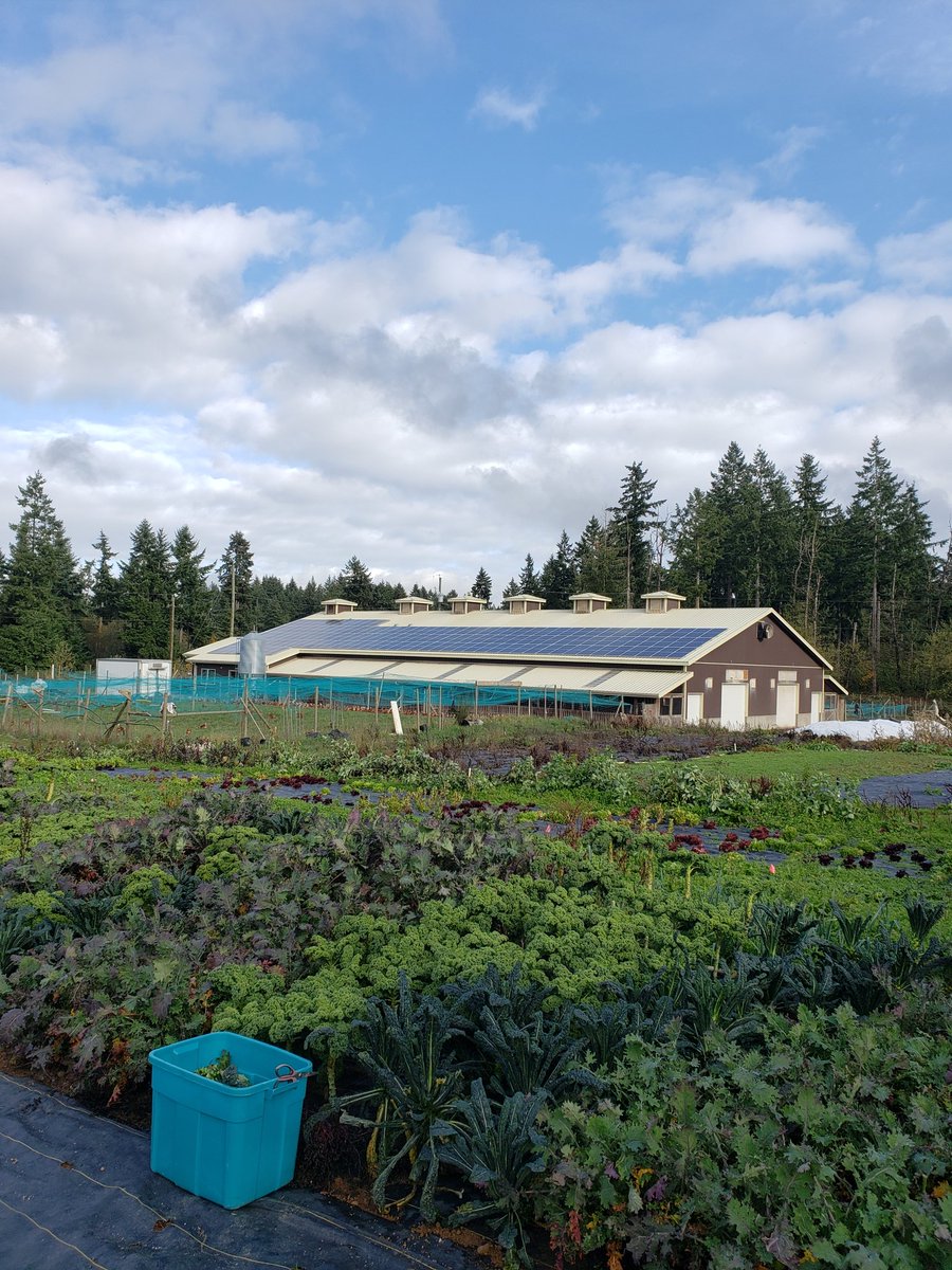 LockwoodFarms's tweet photo. @bctoday this is my view of sustainabile agriculture. Our solar panals power our barn, the manure is used to grow the vegetables. Closed loop. I am trying to call. Sustainable agriculture is OUR LIFE. https://t.co/22umIHiQj8