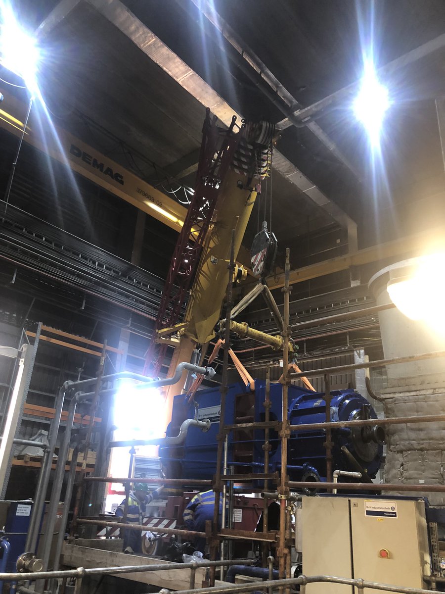 of_crane's tweet photo. Do I mention Curly 🐶 or the crane 🏗 job …. 🤔🤔🤔… Curly 🐶 had a very busy day 😍😍 #livelifelovelife #keepsmilingkeepshining https://t.co/iwYfxnFU29