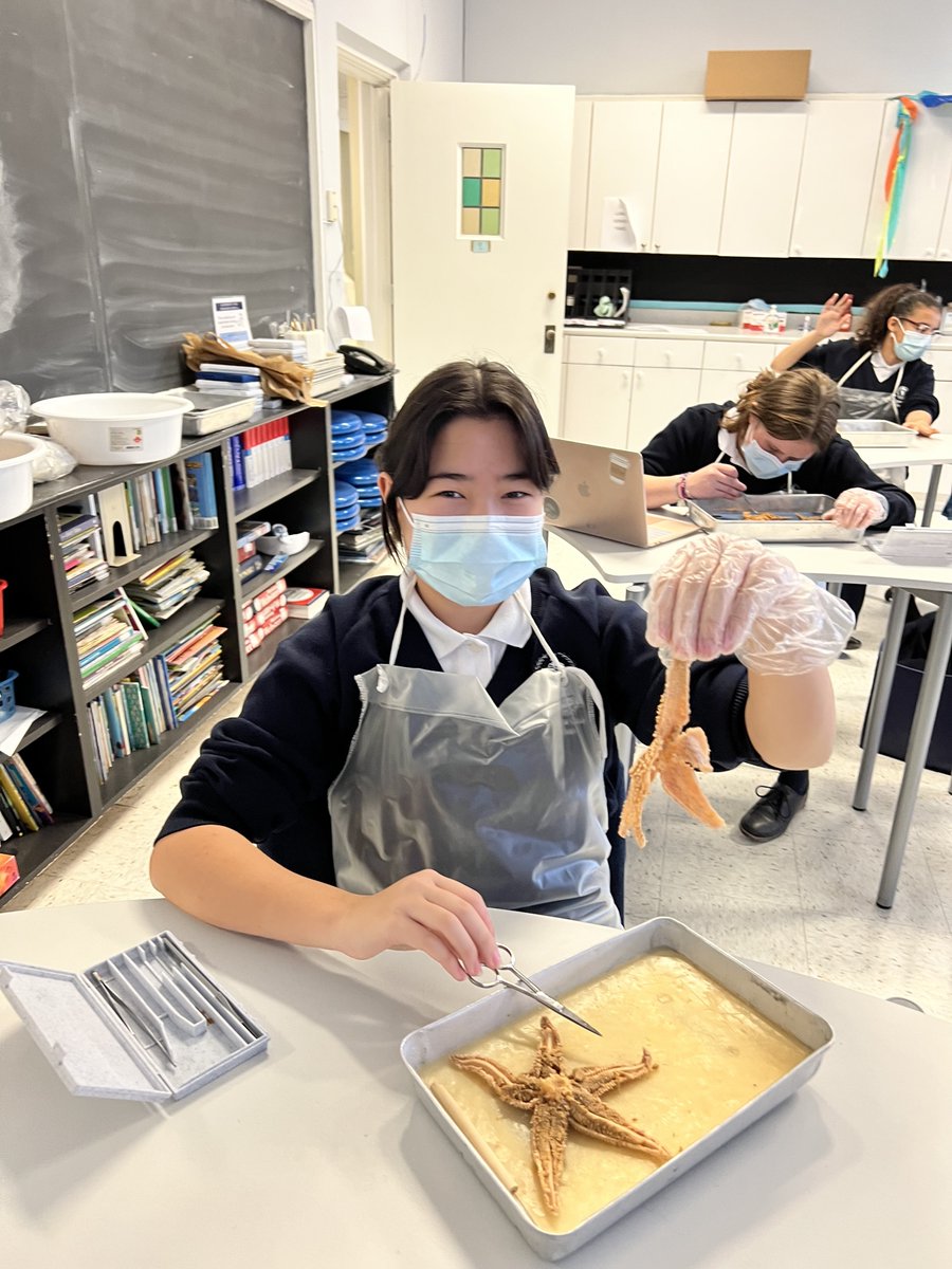trafalgarcastle's tweet photo. The inner workings of a water vascular system were explored today as Grade 8 science students dissected starfish! #itsagirlsworld https://t.co/ult48HXskt