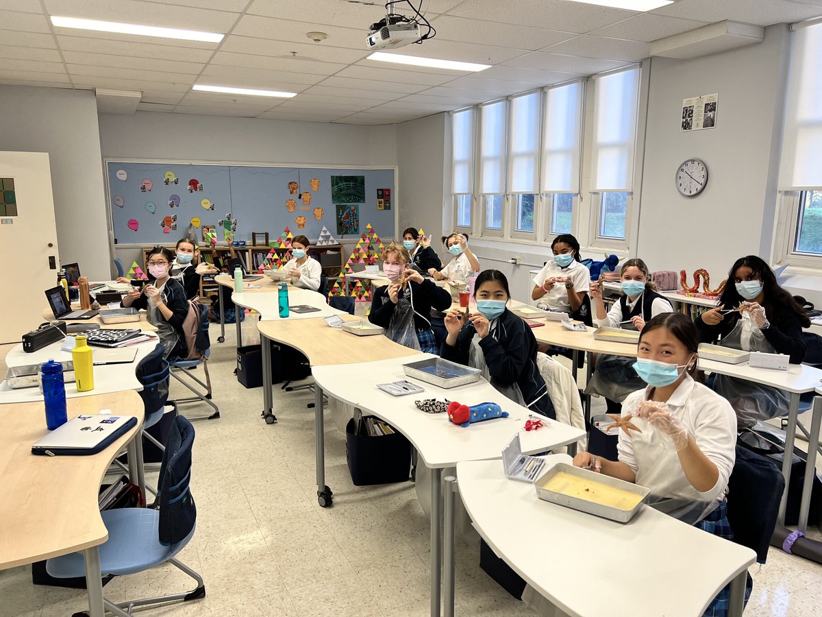 trafalgarcastle's tweet photo. The inner workings of a water vascular system were explored today as Grade 8 science students dissected starfish! #itsagirlsworld https://t.co/ult48HXskt