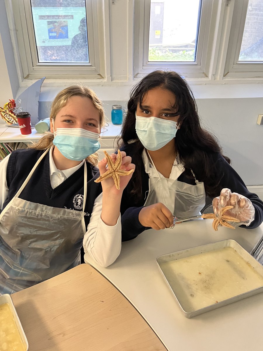 trafalgarcastle's tweet photo. The inner workings of a water vascular system were explored today as Grade 8 science students dissected starfish! #itsagirlsworld https://t.co/ult48HXskt