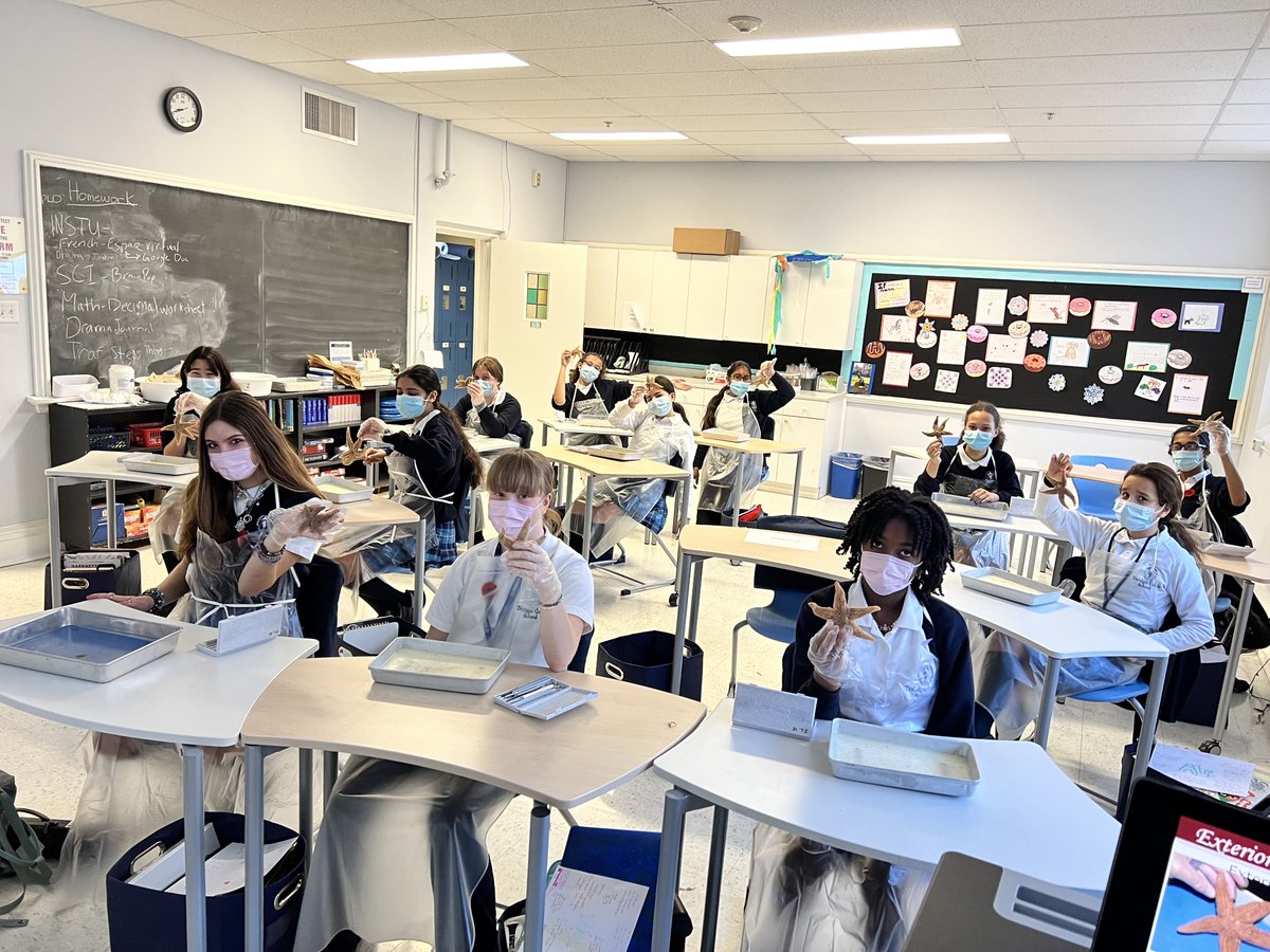 trafalgarcastle's tweet photo. The inner workings of a water vascular system were explored today as Grade 8 science students dissected starfish! #itsagirlsworld https://t.co/ult48HXskt