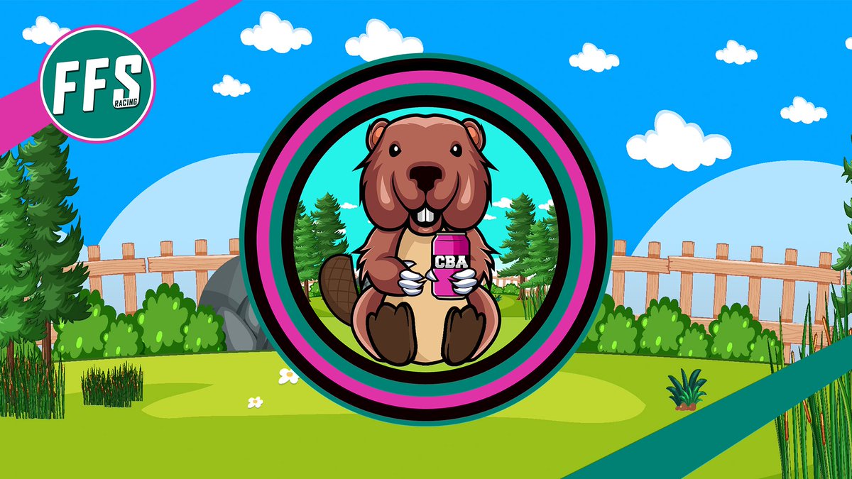 During the GTWC Esprots series we received criticism for having an unprofessional brand image and livery. Since then we have undergone some changes and we are happy to announce our new mascot, which we feel brings us closer to the more professional teams.
#ohdam