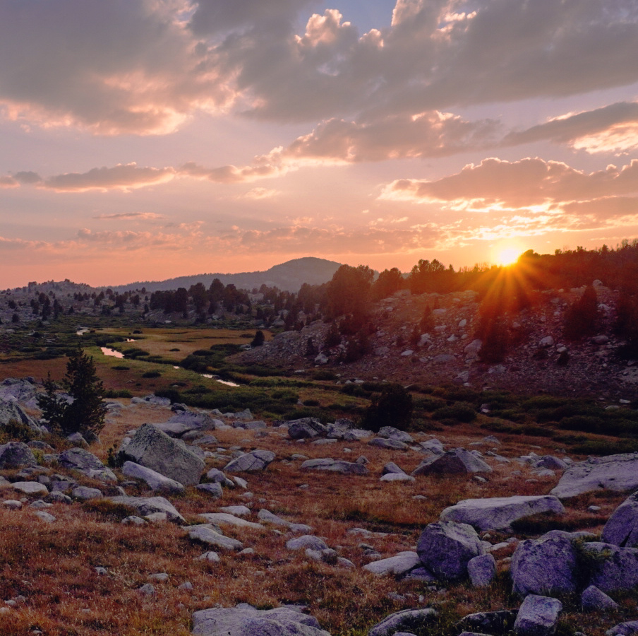 CDNST1's tweet photo. Today is the 43rd anniversary of the designation of the Continental Divide National Scenic Trail! 🎂 🎉

We are grateful to have you as part of the CDT community today, and every day. https://t.co/wPsO5vgSr2