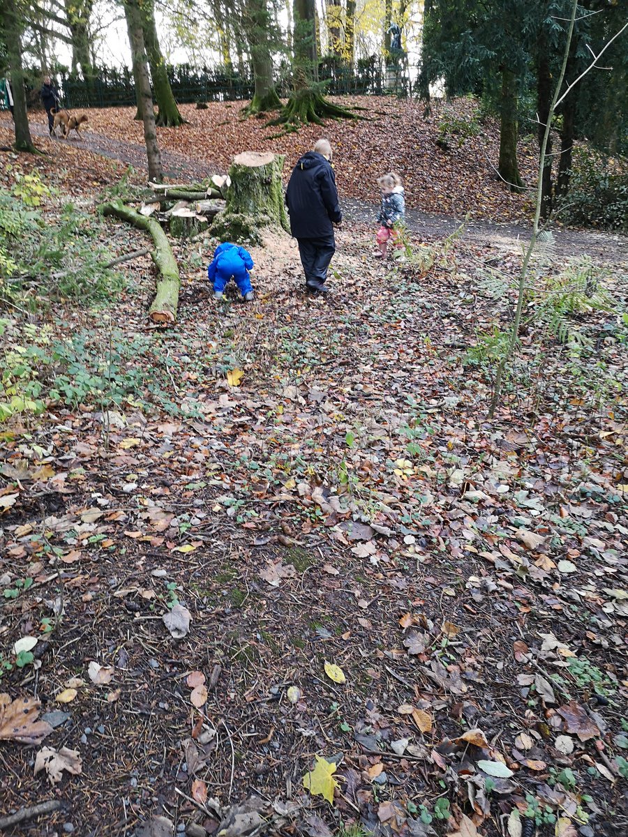 suzannezeedyk tweet picture