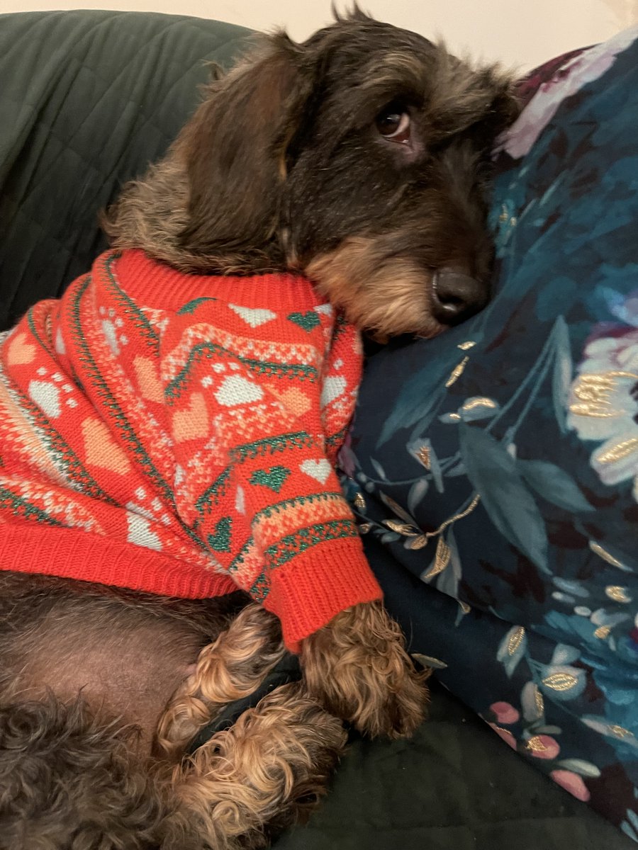 Christmas adverts are on TV and I’m having to try on my Christmas Jumper to see if it still fits 🧑‍🎄🎄
