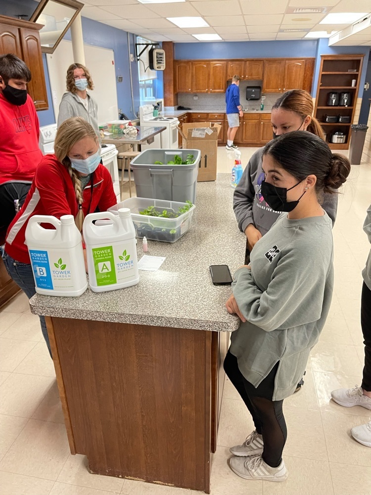 Sydney Becker from Greenbush showing Ms. Shafer’s Culinary Arts class how to set up the hydroponic tower. Good things going on at PHS. Go Vikes!