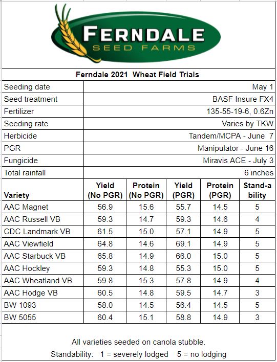 FerndaleSeeds's tweet photo. The 
@FerndaleSeeds
 annual wheat trial results are finally tabulated!!

#AACStarbuckVB for the W again but not by much.

Trails were limited by moisture rather than variety this year
#welovedata  #Harvest21
@SeCan
 
@FPGenetics
 
@CordonGeisam  
 
@SecanMira https://t.co/oOfExUMjrD