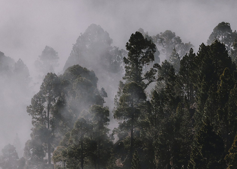 COP26 meetings called for more money to invest in climate solutions. Today, we launched our climate investing framework – designed to help investors use their investments to turn the tide against the climate crisis. Access it here: capshift.com/climateinvesti…