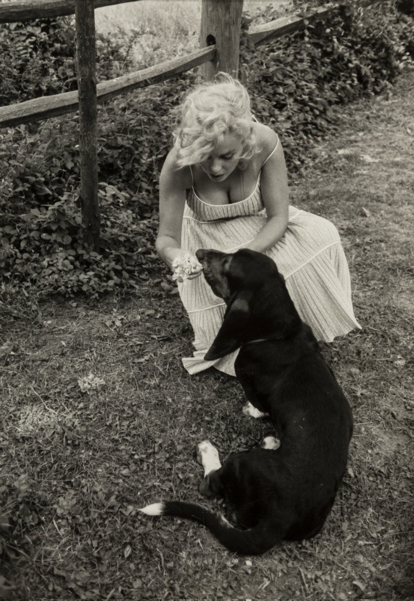 A série de fotos que mostra Marilyn Monroe à vontade com seu cachorro