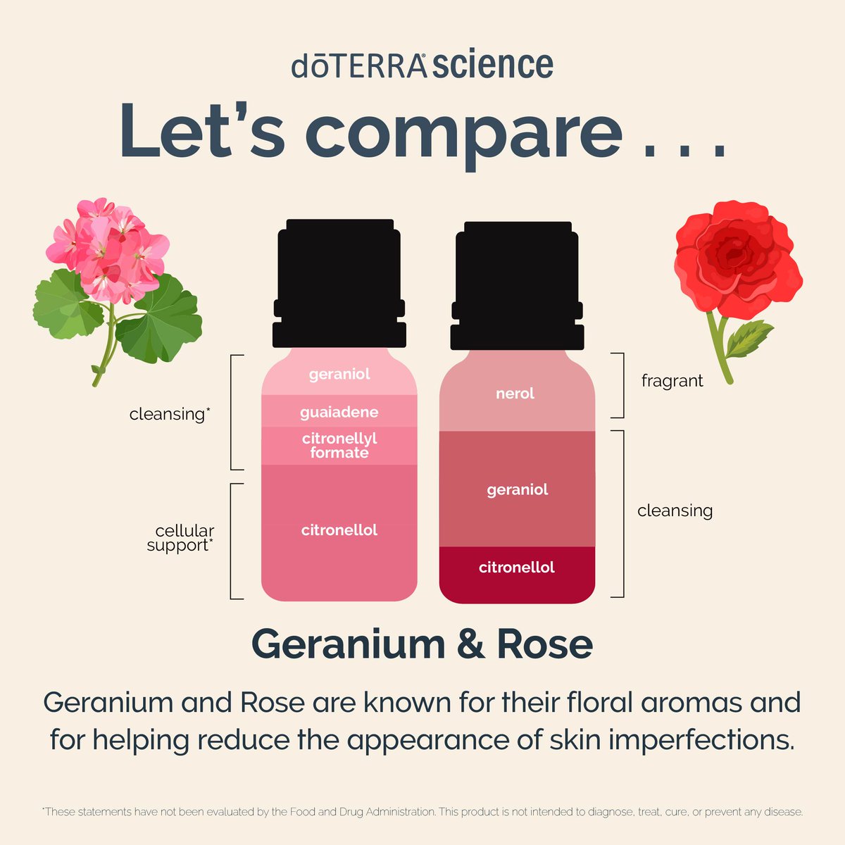 doterra's tweet photo. Let’s compare these two floral oils! 🌹
Learn more at https://t.co/huyYg7UnQQ
#doterra #essentialoils #geranium #rose #essentialoilpurity #geraniumoil #roseoil https://t.co/u7yH3esagV
