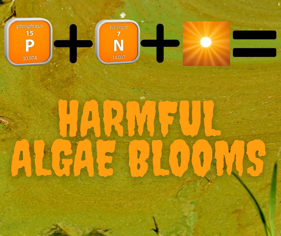 Defend Lake Anna tweet media