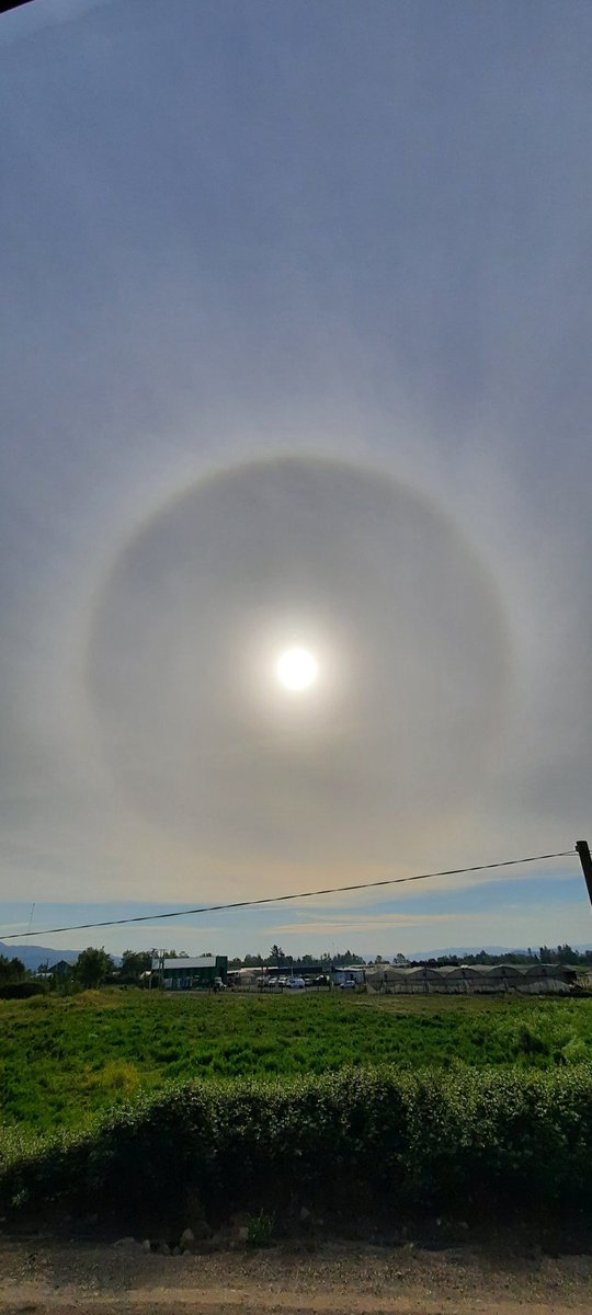 omarhuerta77's tweet photo. Círculo en el Sol, aguacero o temblor? #Romeral 😌 @WeatherEnChile @MeteoFedex https://t.co/ByuwF1MAwL