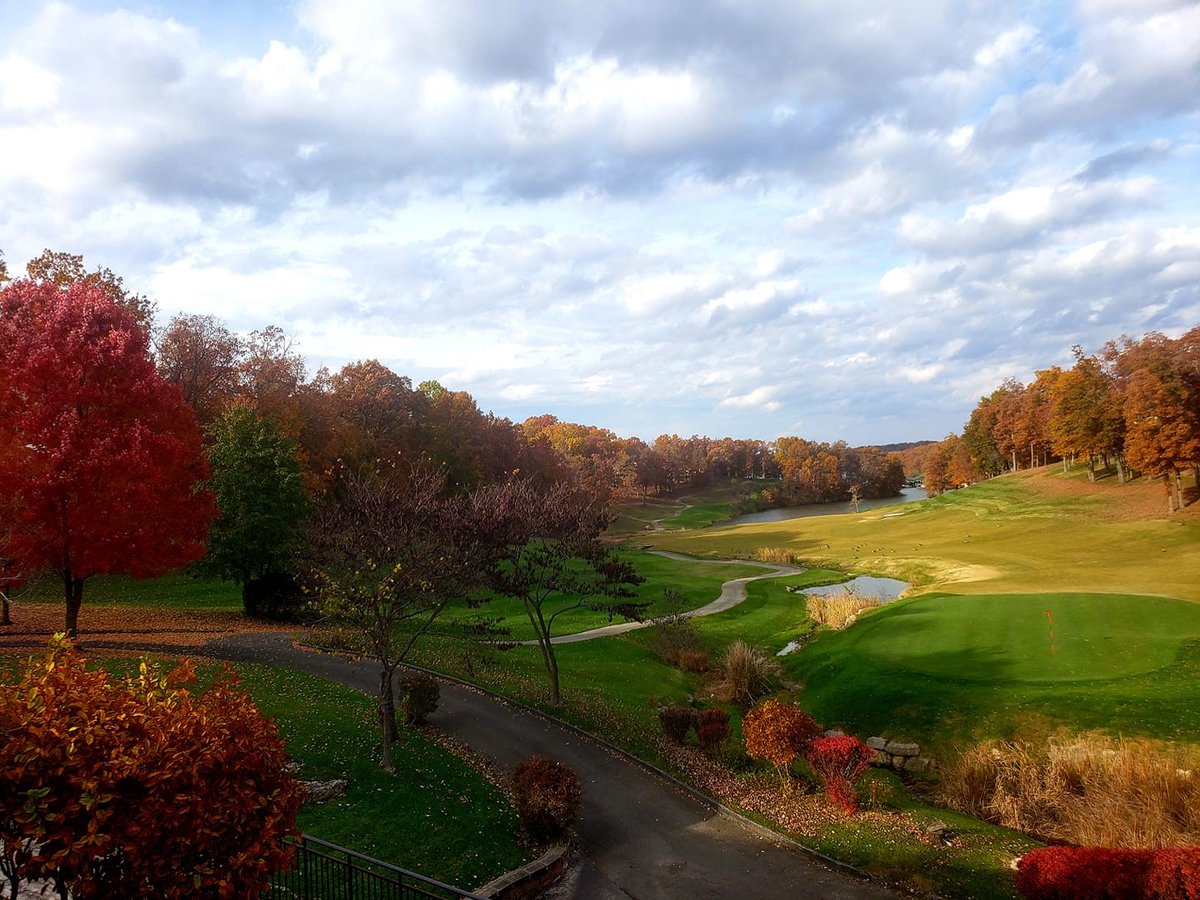 Porto Cima tweet media