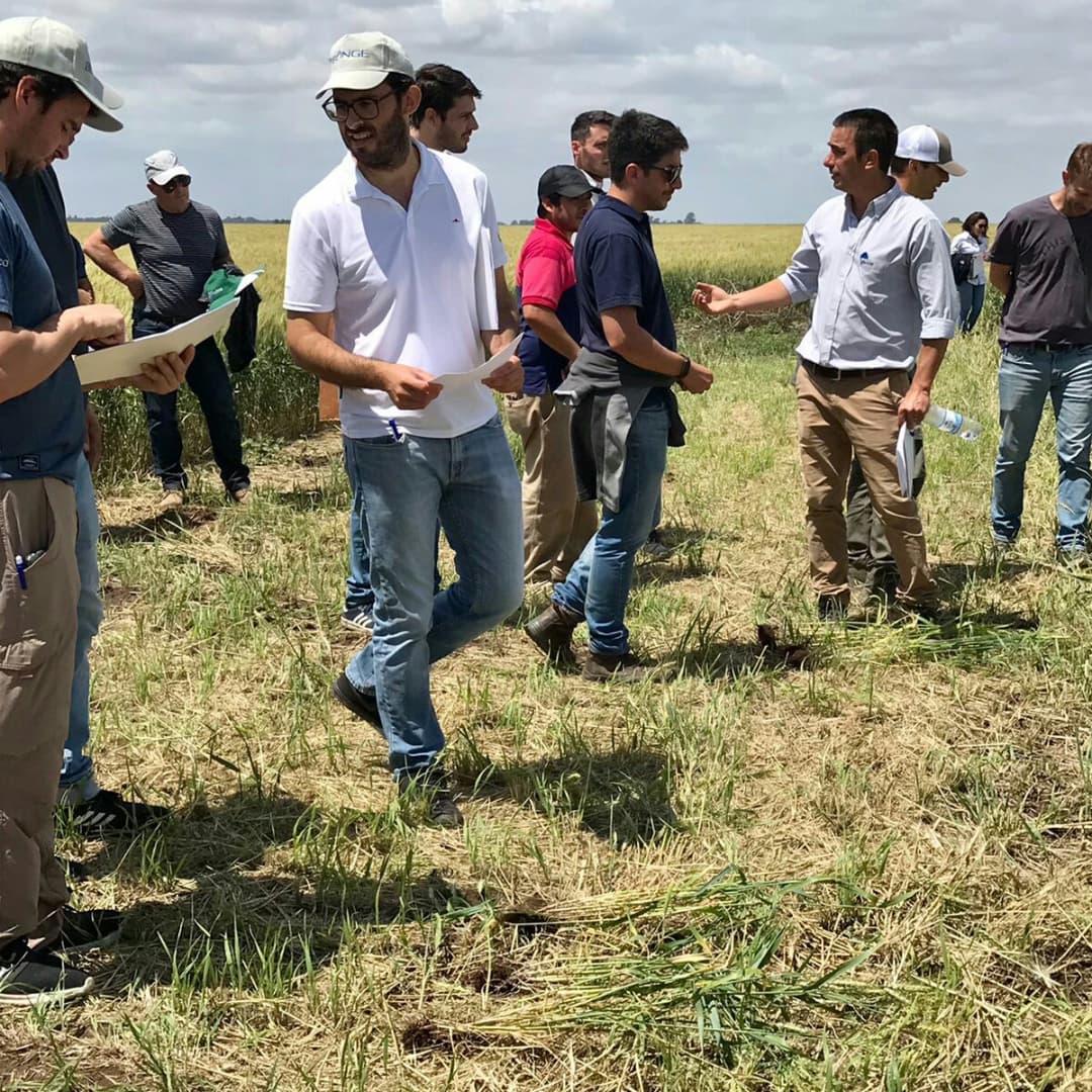 fedeaagro's tweet photo. Jornada técnica de manejo del cultivo de trigo y presentación de nuevas tecnologías. 🌾🌾

▶️Hoy participamos junto a @intaargentina ,@Bunge y varios semilleros de la jornada a campo, establecimiento 📍"Santa Luisa”

Agradecemos a los productores y colegas que nos acompañaron . https://t.co/PNmcFkPCmU