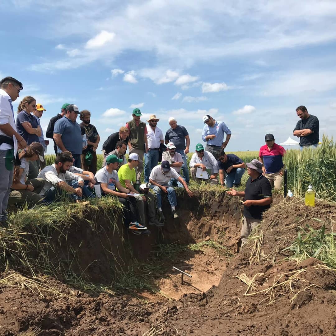 fedeaagro's tweet photo. Jornada técnica de manejo del cultivo de trigo y presentación de nuevas tecnologías. 🌾🌾

▶️Hoy participamos junto a @intaargentina ,@Bunge y varios semilleros de la jornada a campo, establecimiento 📍"Santa Luisa”

Agradecemos a los productores y colegas que nos acompañaron . https://t.co/PNmcFkPCmU
