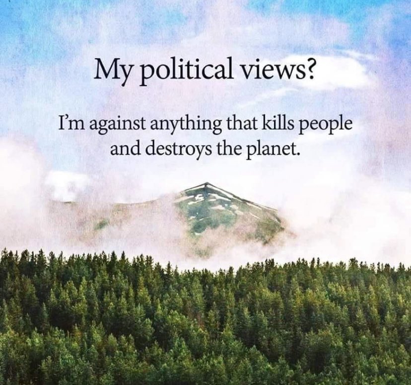 SaveSlochy's tweet photo. Underestimate us.  That’ll be fun.  

#saveslochywoodlands #ecocide #environment #EnvironmentalJustice #Greta #COP26 #NoPlanetB https://t.co/dneQa1vabU