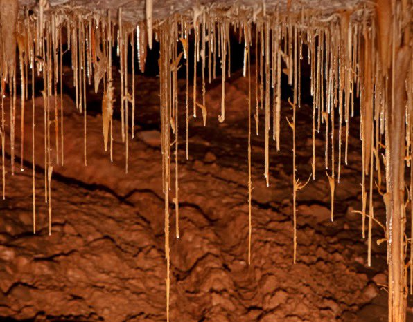 nniemazz's tweet photo. if you grew up in AZ you know this field trip was lit https://t.co/WHteQwS2mA